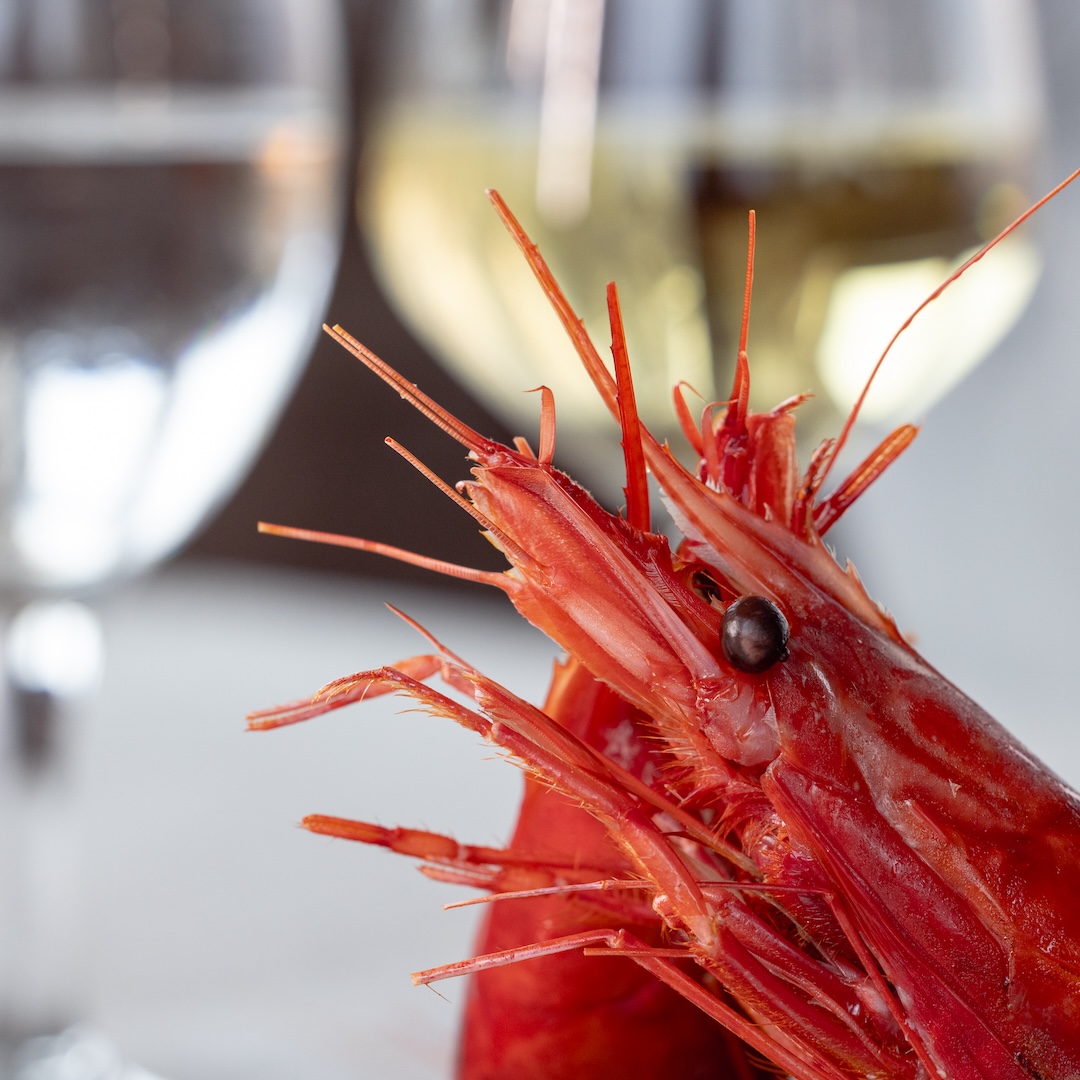 trattoria delle cozze mazara 59